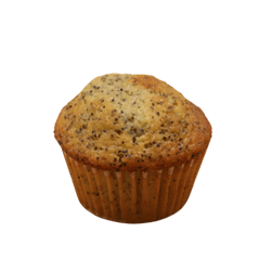 Lemon Poppy Seed Muffin