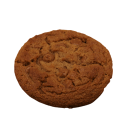 Peanut Butter Cookie