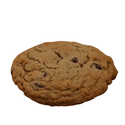 Chocolate Chip Cookie